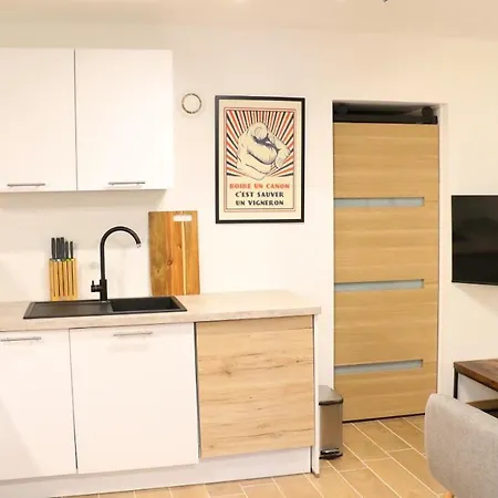 Apartament Renove - Univ Jj- Oncopole 5min - Wifi *